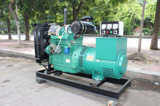 定城镇发电机不发电的原因